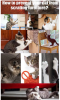 Cat Scratching Deterrent Furniture Protection