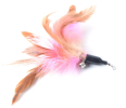 Fun Feather Pole Cat Teaser Toy Multi-Pack