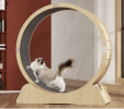 Silent Cat Running Wheel Toy