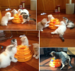 Fun Ball Turntable Tower for Feline Play