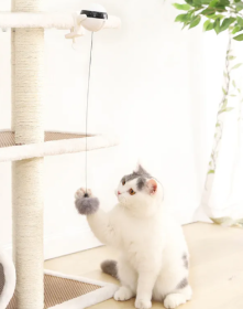 Powered Interactive Lifting Teaser Cat Toy