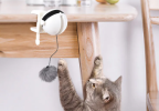 Powered Interactive Lifting Teaser Cat Toy