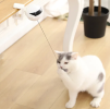 Powered Interactive Lifting Teaser Cat Toy