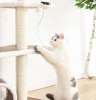 Powered Interactive Lifting Teaser Cat Toy