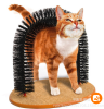 Self Scratching Cat Massaging Hoop Brush