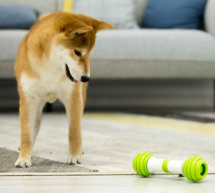 Happy Bouncing Bone Interactive Toy for Dogs