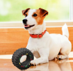 Squeaky Tire Chew Toy or Puppies and Small Dogs