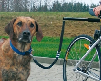 Adjustable Bicycle Leash Attachment for Dogs