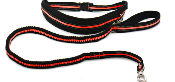 Reflective Hands Free Dog Leash with Storage