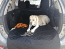 Cargo Area Protection Mat