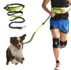 Bungee Reflective Hands Free Waist Pack with Leash