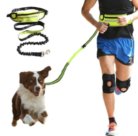 Bungee Reflective Hands Free Waist Pack with Leash (Colors: Black)