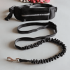 Bungee Reflective Hands Free Waist Pack with Leash