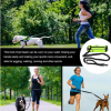 Bungee Reflective Hands Free Waist Pack with Leash