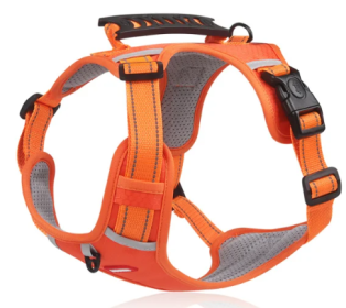 Adjustable No Pull Harness For Dogs (Color2: Orange, size: Large)