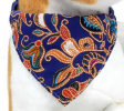 Stylish Triangular Bandana Collars for Dogs