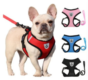 Adjustable No-Pull Dog Harness (Color2: Red, size: Small)