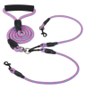 Double Dog Reflective Leash and Lead Combo