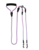 Double Dog Reflective Leash and Lead Combo