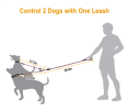 Double Dog Reflective Leash and Lead Combo