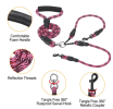 Double Dog Reflective Leash and Lead Combo