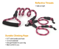 Double Dog Reflective Leash and Lead Combo