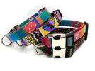 Adjustable Dog Collar with Fun Colors and Designs