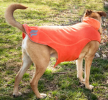 Helios Lotus-Rusher 2-in-1 Dog Jacket with Blackshark technology