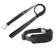 Shock Absorbing Dog Leash and Collar Set