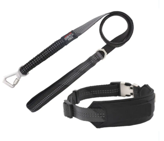 Shock Absorbing Dog Leash and Collar Set (Color2: Black, size: Small)