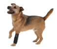 Extreme-Neoprene Protective Joint Sleeves for Dogs