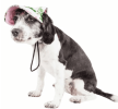 Pet Life Uv Protectant Adjustable Dog Hat Cap