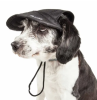 Pet Life Uv Protectant Adjustable Dog Hat