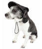 Pet Life Uv Protectant Adjustable Dog Hat