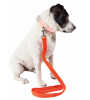 Pet Life 'Aero Mesh' Mesh Dog Leash