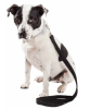 Pet Life 'Aero Mesh' Mesh Dog Leash