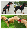 Anti-Jerk Chest Strap Harness for Dogs or Cats