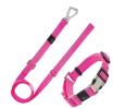 Pet Life 'Advent' Outdoor Series Reflective 2-in-1 Dog Leash and Collar