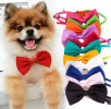 Adjustable Dog Bowtie for Small Dogs and Puppies