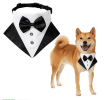 Wedding Suit Dog Collar Triangle Scarf and Drool Towel