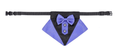 Wedding Suit Dog Collar Triangle Scarf and Drool Towel