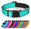 Dog Collars with Soft Neoprene and Nylon and Breathable Padding