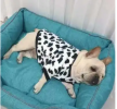 Fun Fall Flannel Shirts for Small to Medium Dogs