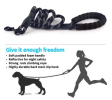 Reflective Strong Dog Leash Padded Handle