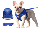 Breathable Harness and Leash Combo for Dogs