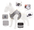 Breathable Harness and Leash Combo for Dogs