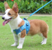 Reflective Harness And Leash Combo for Small Dogs