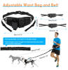 Ultimate Hands Free Waistband for Dogs