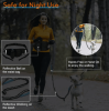 Ultimate Hands Free Waistband for Dogs