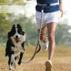 Hands Free Dog Leash